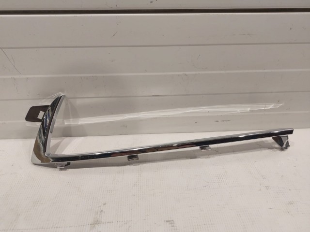 Upper Molding LH
